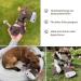 Schn ffelfreunde Dog Toy - Tug Toy Karl | Leather Bull with Tug Rope for Dogs - International Shipping Available - Buy Online on GoSupps.com