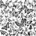 COKTAK 6 Sheets Large Black Butterfly Temporary Tattoos For Women Boobs Girls Neck Adults  Sexy Realistic Butterfly Temp Tattoos Sticker Back Waist  3D Fake Tattoos That Look Real And Last Long