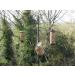 Bird Nesting Material (Alpaca Fibre) Wool Natural Organic - Buy Online on GoSupps.com