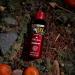 Old Spice Bearglove Body Spray for Men 5.1 Oz (Pack of 3) Bearglove 5.1 Ounce (Pack of 3) - Buy Online on GoSupps.com