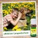 CDVet Zeckex Spoton 10 ml - Effective Tick and Flea Treatment for Pets | Fast International Shipping - Buy Online on GoSupps.com