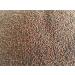 Organic Broccoli Sprouts 200g | Premium Broccoli Seeds for Growing Healthy Sprouts - Fast International Shipping - Buy Online on GoSupps.com