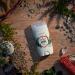 Old Spice Men's Deodorant Aluminum-Free Alpine with Hemp Oil 3. oz (Pack of 3) Alpine 3 Ounce (Pack of 3) - Buy Online on GoSupps.com