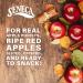 Seneca Cinnamon Apple Chips - 100% Red Delicious Apples from Yakima Valley | Real Cinnamon | Crisped to Perfection | 0.7 oz Foil Fresh Bag (Pack of 24) - Buy Online on GoSupps.com