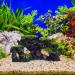 Relaxdays Aquarium Decoration Stone - Natural Look Rock Cave Hiding Place 8.5x17cm Black-Green Aquarium Accessory - Buy Online on GoSupps.com