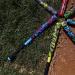 Ortiz34 Grand Slam Set - Graffiti Plastic Bat, 3 Balls, 4 Throw Down Bases Blue - Buy Online on GoSupps.com