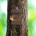 Relaxdays Squirrel Feeder House Feeding Station Box Hanging Wooden HWD: 17.5 x 14 x 25 cm Dark Brown Fir Wood Pack of 1 - Buy Online on GoSupps.com