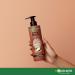 Garnier Whole Blends Coconut Oil & Cocoa Butter Taming Shampoo and Conditioner Set - Sulfate Free Remedy for Very Frizzy Hair - 12 Fl Oz Kit - Buy Online on GoSupps.com