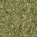 Kaytee Bird Greens 1 oz - Nutritious Bird Treat for Health & Vitality - Buy Online on GoSupps.com