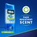 6 Pack Gillette Clear Gel Power Rush 4oz Anti-perspirant Deodorant Stick - Buy Online on GoSupps.com