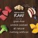 Instinct Raw Boost Mixers Freeze Dried Dog Food Topper - Grain Free Beef 14oz - Buy Online on GoSupps.com