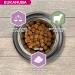 Eukanuba Puppy & Junior Adult Dry Food For Small and Medium Breed Lamb&Rice 2.5kg - Buy Online on GoSupps.com