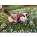 Mynwood Cat Jacket/Harness Royal Stewart Tartan Adult Cat