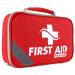2-in-1 First Aid Kit for Car - 250 Piece - First Aid Kits for Businesses | Home First Aid Kit, Bonus Mini 1st Aid Kit, Emergency Supplies for Travel, Workplace & More 250 Piece Set