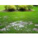 New Formula - 2 Gals. Non-Toxic Septic Drain Field Treatment | Bio-Septic Boost for Hard Pan Soil & Bio-Mat Repair | Maintain Your Septic System - Buy Online on GoSupps.com