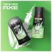 AXE Wild Bamboo Men's Body Spray Deodorant 48hr Odor Protection With Essential Oils Aluminum Free Deodorant Body Spray 4.0oz Grapefruit 4 Ounce (Pack of 1) - Buy Online on GoSupps.com