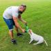 Robust Bull Fit Dog Toy 30cm - Handmade High-Quality Cotton Nylon for K9 Training & Tug-of-War - Ideal for Dogs (Orange) - Buy Online on GoSupps.com