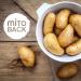 Mitoback Fiber Set for Baking & Cooking | 3x250g Nutrient-Rich Low Carb Keto Vegan Gluten-Free - Bamboo Apple & Potato Fiber Alternative - Buy Online on GoSupps.com