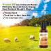 Organic Liquid Vitamin D Drops | Sugar Free | Easy to Use | 1000 IU per Drop | Coconut MCT Oil | High Dose Supplement for Kids & Adults | Max Absorption | Great Citrus Taste - Buy Online on GoSupps.com
