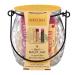 Burt's Bees Gift Set For Women Beeswax Lip Balm Pomegranate Hibiscus Tinted Balm Jar 3x4.25g 3 Count (Pack of 1) Balm Jar