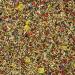 Kaytee Fiesta Parakeet Food - Nutritious Mix for Happy Parrots - Buy Online on GoSupps.com