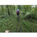 GoPro HERO8 Black Tempered Glass Lens + Screen Protectors - Official Accessory - Buy Online on GoSupps.com
