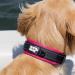 Black Rhino Comfort Collar - Super Soft Neoprene Dog Collar for All Breeds | Adjustable Reflective Weatherproof | Small Pink/Black - Buy Online on GoSupps.com