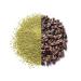 Paromi Tea Matcha with Cocoa - Organic Green Tea Blend, 35g | HotIced, Whisk, Stir, Shake - Buy Online on GoSupps.com