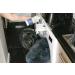 Pet Bed Wash - Non Biological Laundry Detergent - Buy Online on GoSupps.com