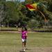 JOYIN Large Delta Kite 2-Pack - Easy-to-Fly Green and Rainbow Kites for Kids and Adults | Includes 262.5 ft Kite String | Perfect for Outdoor Games - Buy Online on GoSupps.com