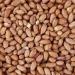 Garden Ting Premium Peanut Kernels Wild Bird Food Tub 3 Litre Peanut 3 l (Pack of 1) - Buy Online on GoSupps.com