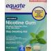 Equate - Nicotine Gum Polacrilex 2 mg Stop Smoking Aid Mint Flavor 170 Pieces