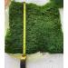 prefleur Preserved Sheet Moss Natural Green DIY Kit - 2 sq.ft. | Green-b - Buy Online on GoSupps.com