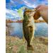 10,000 Fish Yoto Worm Soft Plastic Creature Bait Fishing Lure - Black & Blue Flake 4.75 - Catch Co - Buy Online on GoSupps.com