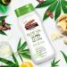 Palmer's Cocoa Butter Formula Hemp Oil Body Lotion - Calming Relief, 8 Oz - Buy Online on GoSupps.com