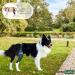 Ortocanis Knee Brace for Dogs - Right Hind Leg Size S | Cruciate Ligament Patellar Luxation & Osteoarthritis Support - Buy Online on GoSupps.com