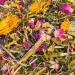 Petifool Wild Flower Meadow 600g & Rodents Herba 430g - Natural Supplementary Feed for Rabbits Guinea Pigs Hamsters & Chinchillas - No Artificial Additives - International Shipping - Buy Online on GoSupps.com