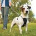 Kurgo Tru-Fit Smart Dog Harness XL - Padded Chest Panel D-Ring & Car Seat Belt - Safe & Comfortable for Travel - Buy Online on GoSupps.com