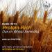 Morelli Pici Pasta di Toscana - Gourmet Italian Organic Noodles - Made in Italy from Durum Wheat Semolina - 17.6oz - Buy Online on GoSupps.com