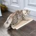 Way Basics Premium Cat Scratcher - Reversible Scratch Pad with Silvervine Organic Super Catnip - White - Buy Online on GoSupps.com