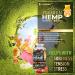 High Potency Wellution Hemp Gummies 2600000 XL - Fruity Gummy Bears with Hemp Oil for Stress & Inflammation Relief. Natural Hemp Candy for Sleep & Calm Mood - Buy Online on GoSupps.com