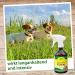 CDVet Naturdepot Insitovet 500ml - Effective & Sustainable Flea Mosquito & Tick Defense for Pets - Gentle on Fur & Skin - Buy Online on GoSupps.com