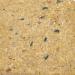 Garden Ting Mealworm Suet Block Wild Bird Treat 6 x 300g - Buy Online on GoSupps.com