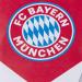 Buy FC Bayern Munich Pimp Merchandise | Official Store | Worldwide Shipping - Buy Online on GoSupps.com