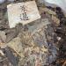 Pu-erh tea 2010 Jingmai 357g Raw - Buy Online on GoSupps.com