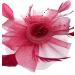 Ladies Feather Fasciantor Clip/Aliceband Hair Piece Weddings Races Royal Ascot (Burgundy) - Buy Online on GoSupps.com