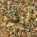 Kaytee Forti-Diet Pro Health Food for Conures & Lovebirds - Nutrient-Rich Avian Diet - Buy Online on GoSupps.com