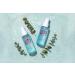 Wet n Wild Fight Dirty Detox Setting Spray for Oily Acne Prone Skin Tea Tree Extract, Chamomile, Collagen Combats Acne, Blemishes, Antioxidants - Buy Online on GoSupps.com