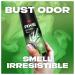 AXE Wild Bamboo Men's Body Spray Deodorant 48hr Odor Protection With Essential Oils Aluminum Free Deodorant Body Spray 4.0oz Grapefruit 4 Ounce (Pack of 1) - Buy Online on GoSupps.com