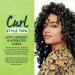 Garnier Fructis Curl Renew Milk Spray 5 fl oz | Reactivating Hair Care - Buy Online on GoSupps.com